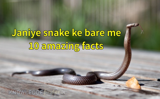 Janiye snake ke bare me 10 amazing facts