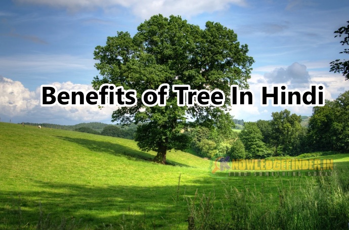 Per lagane ke bad kiya kiya fayde hai | Benefits of tree in Hindi