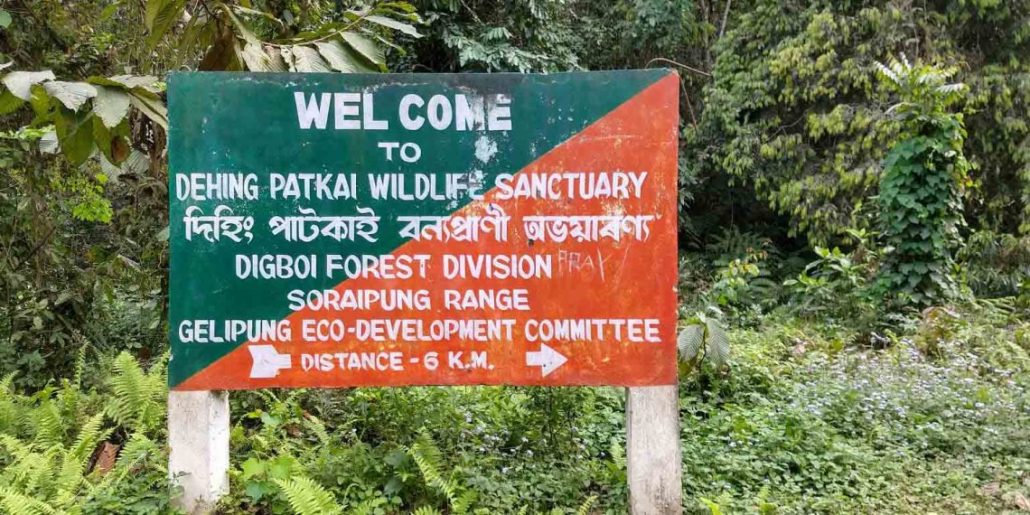 About Dehing Patkai National Park in Hindi