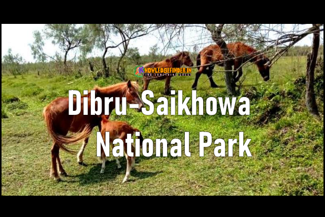 Dibru-Saikhowa National Park!