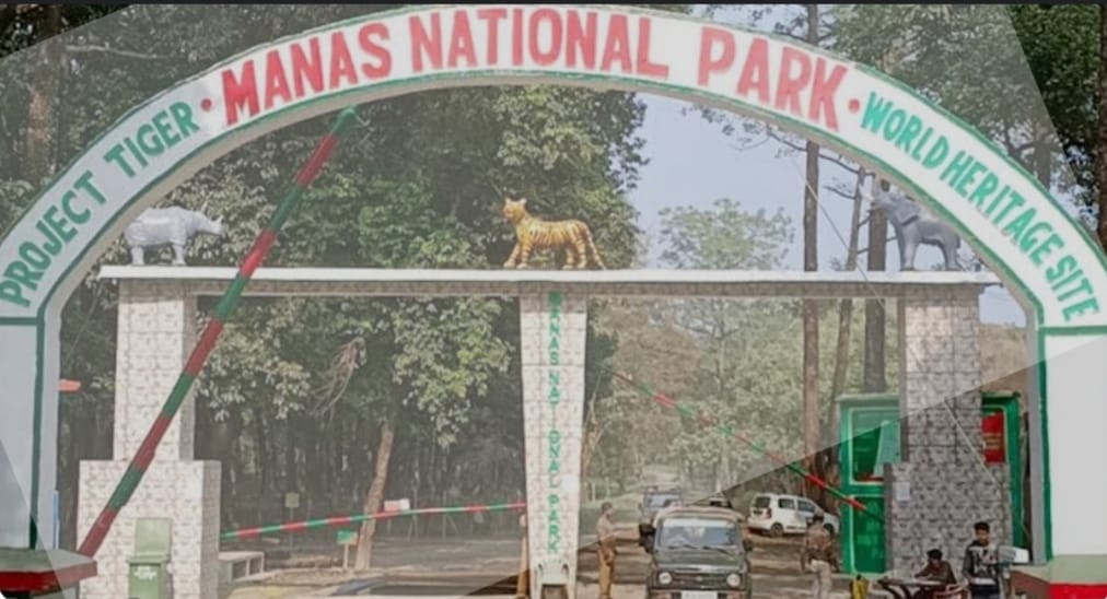 Manas National park,Assam India