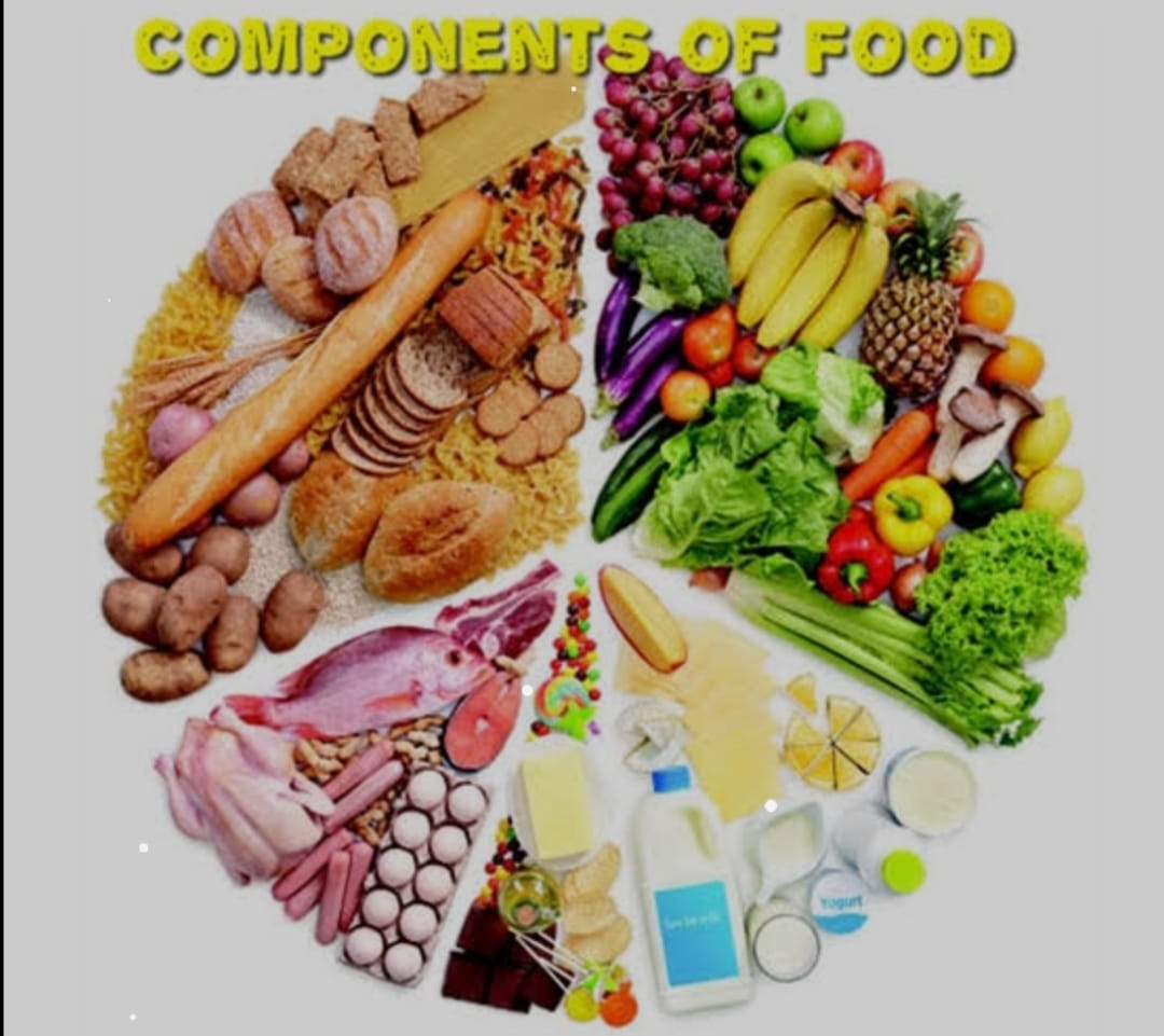 Components of Food.Carbohydrate, proteins