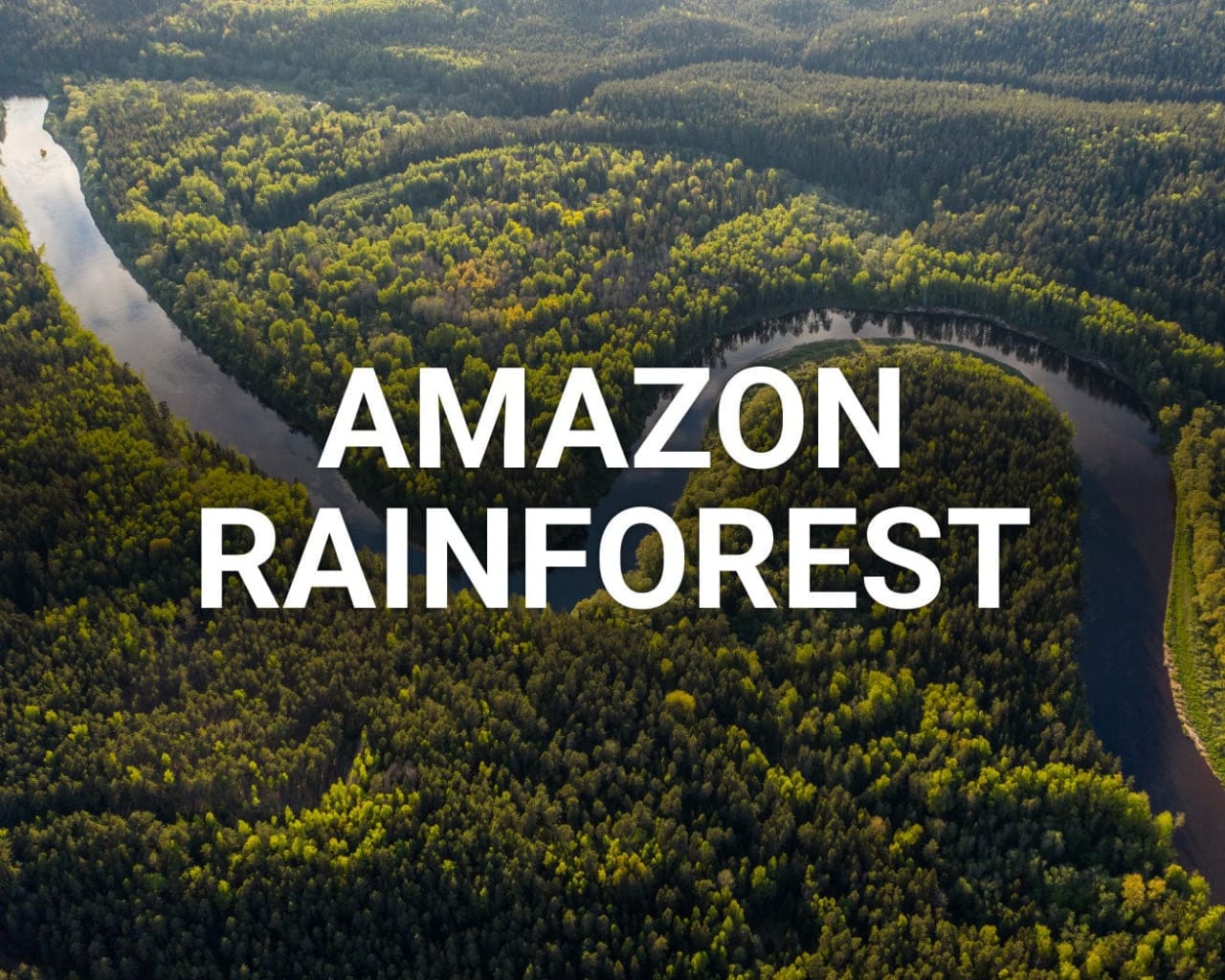 10 Incredible facts about Amazon Rainforest